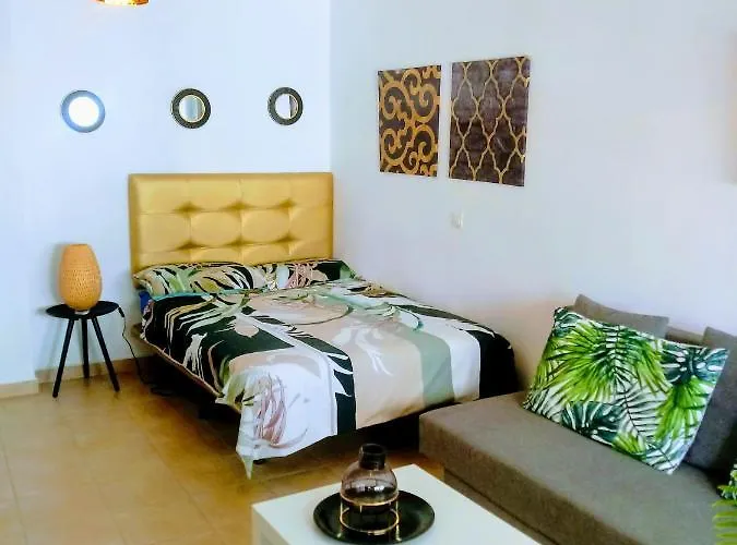 Estudio Vacacional