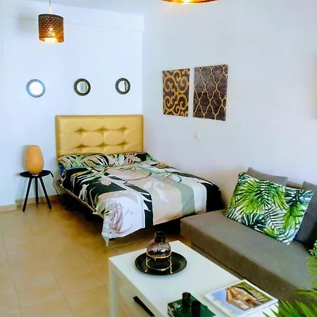 Estudio Vacacional